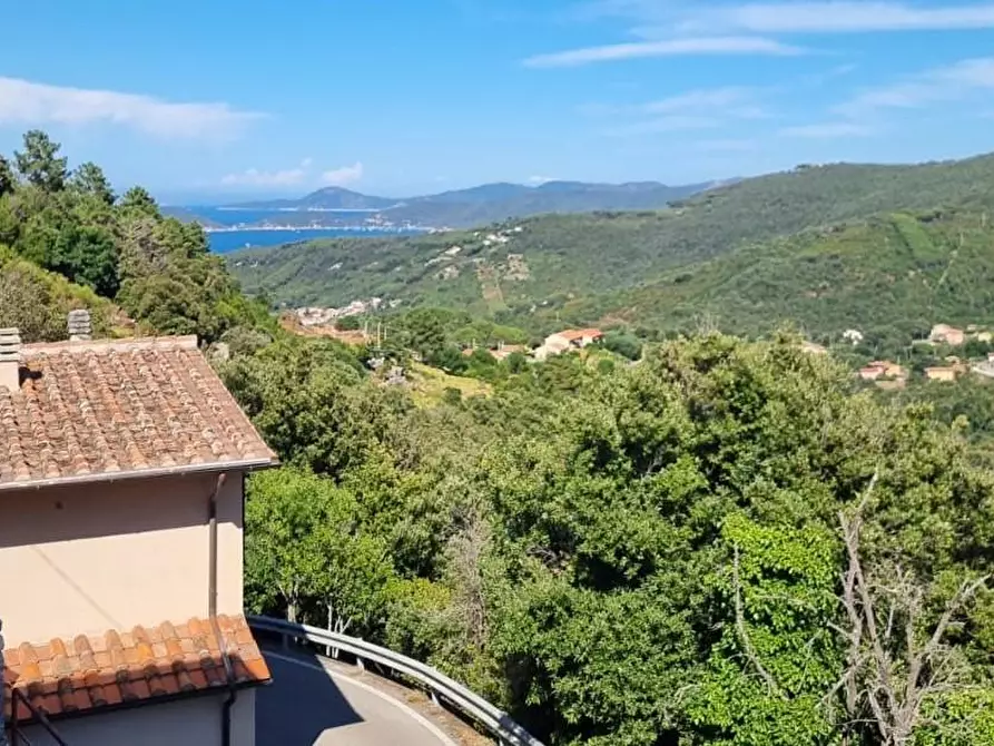 Immagine 6 di Casa trifamiliare in vendita  a Marciana