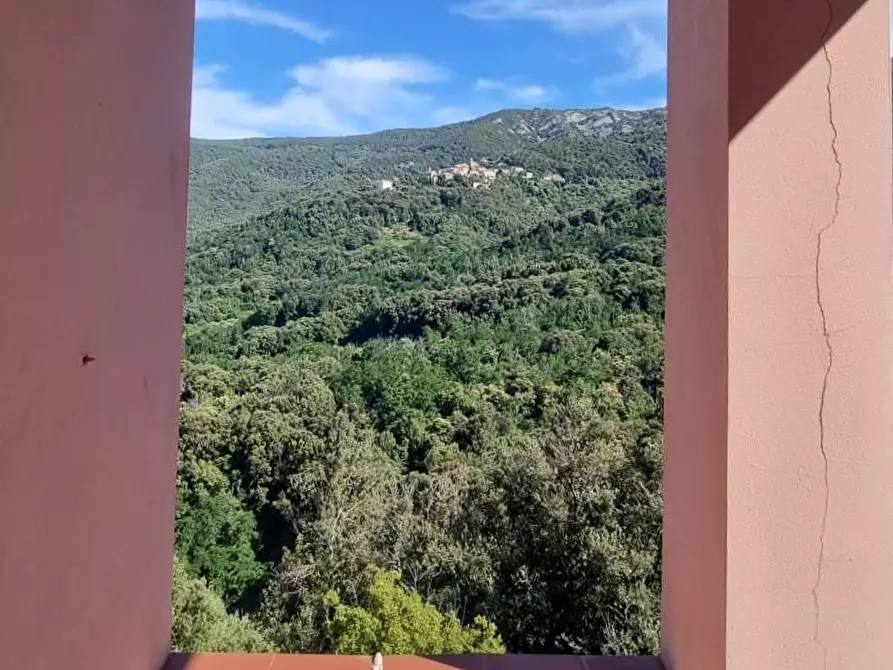 Immagine 1 di Casa trifamiliare in vendita  a Marciana