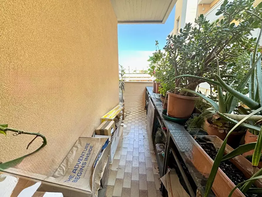 Immagine 17 di Appartamento in vendita  a Pisa