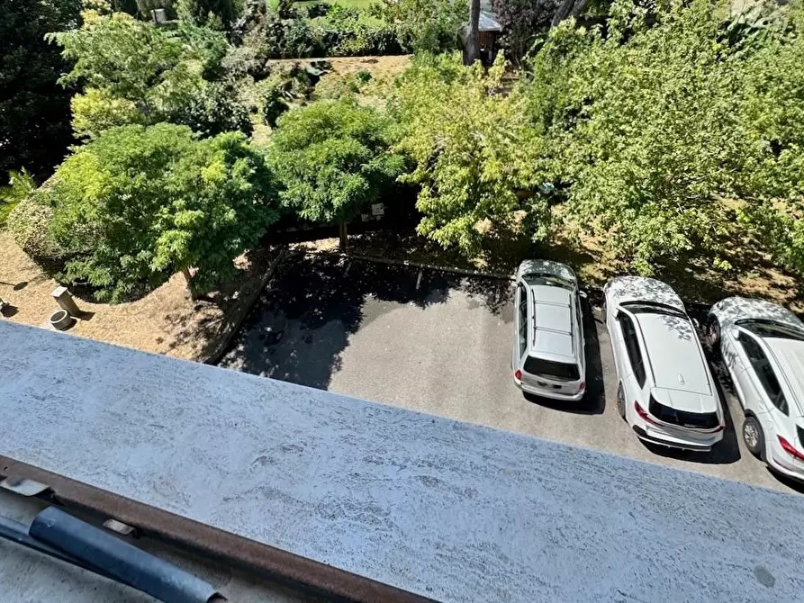 Immagine 32 di Appartamento in vendita  a Pisa