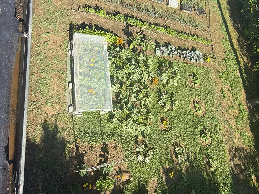 Immagine 19 di Villa in vendita  a Aulla