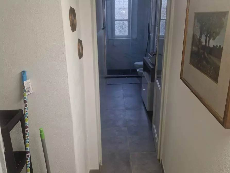 Immagine 13 di Terratetto in affitto  a Pisa