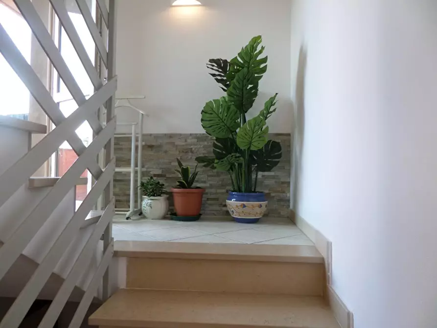 Immagine 7 di Terratetto in vendita  a San Miniato