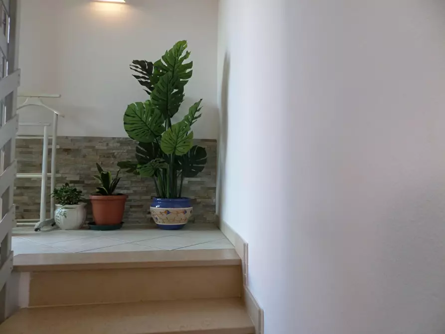 Immagine 6 di Terratetto in vendita  a San Miniato