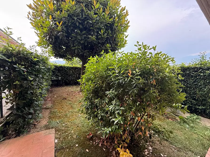 Immagine 36 di Villetta a schiera in vendita  a Calcinaia