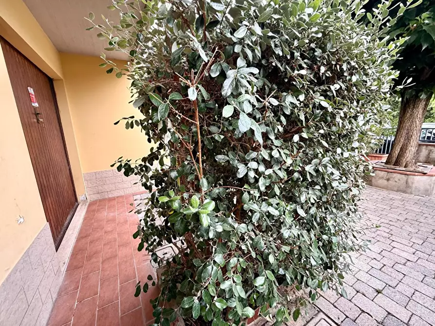 Immagine 40 di Villetta a schiera in vendita  a Calcinaia