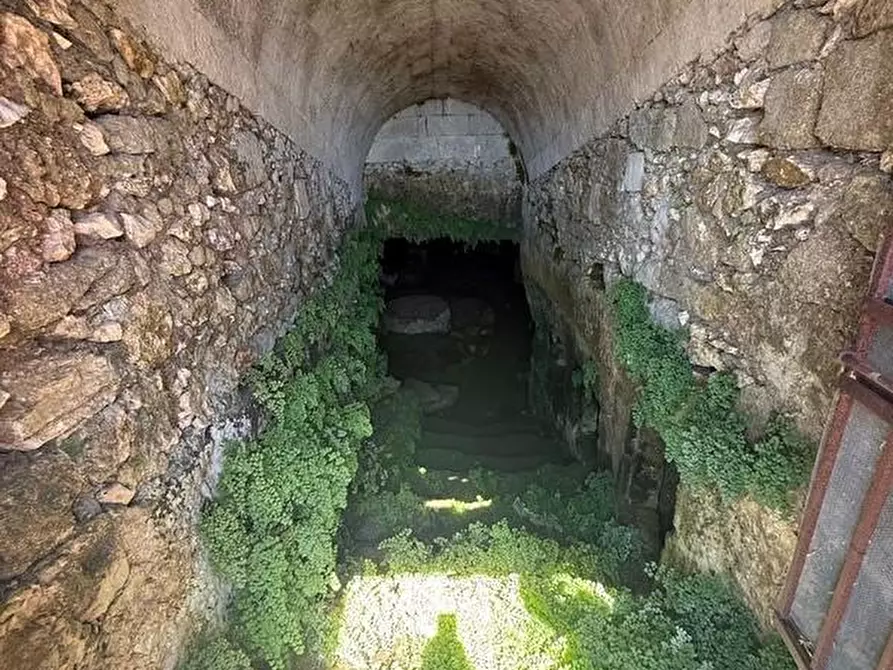 Immagine 16 di Baita in vendita  a Alessano