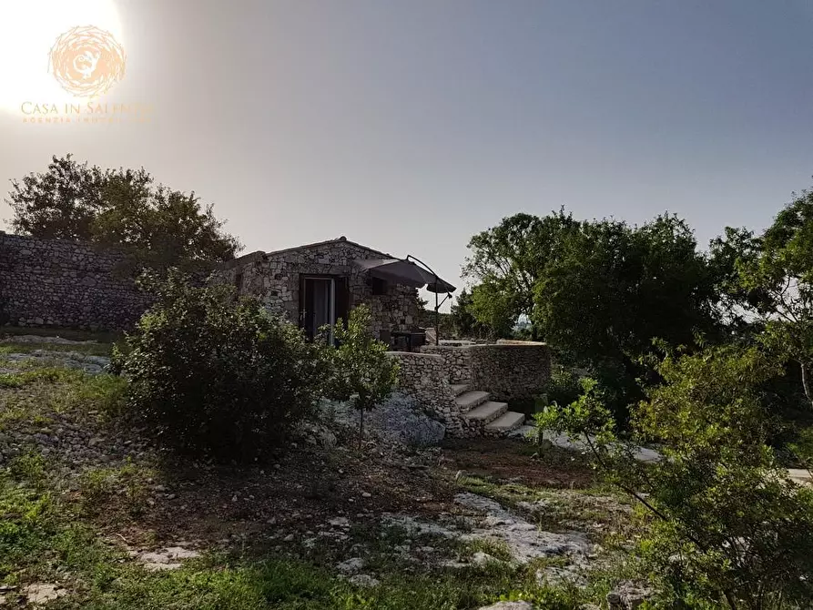 Immagine 3 di Baita in vendita  a Alessano