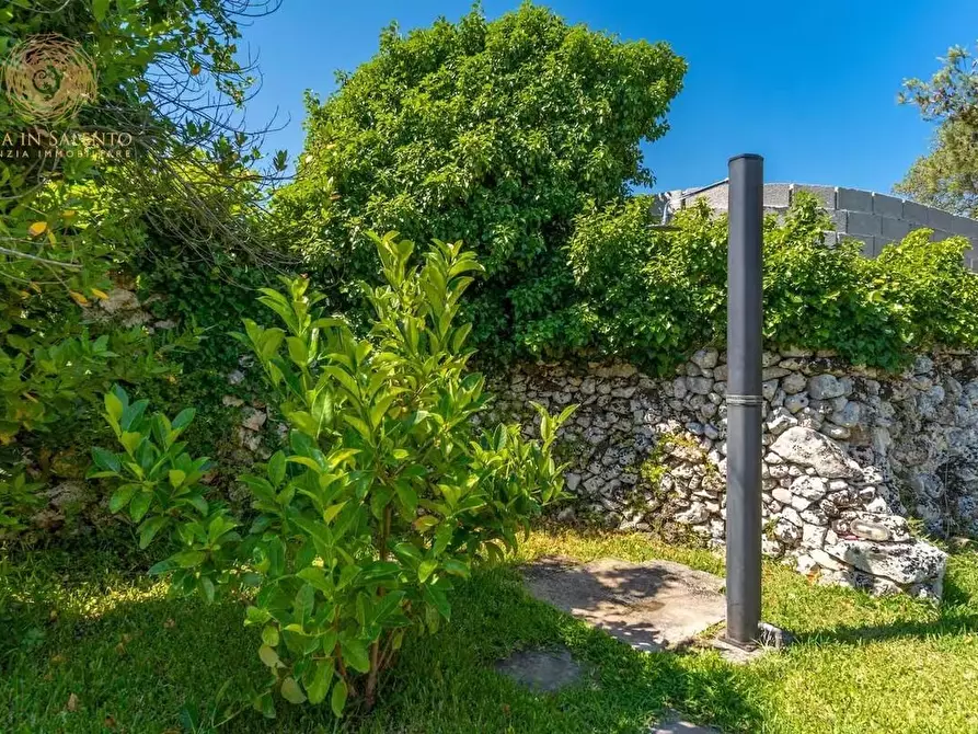 Immagine 39 di Baita in vendita  a Alessano