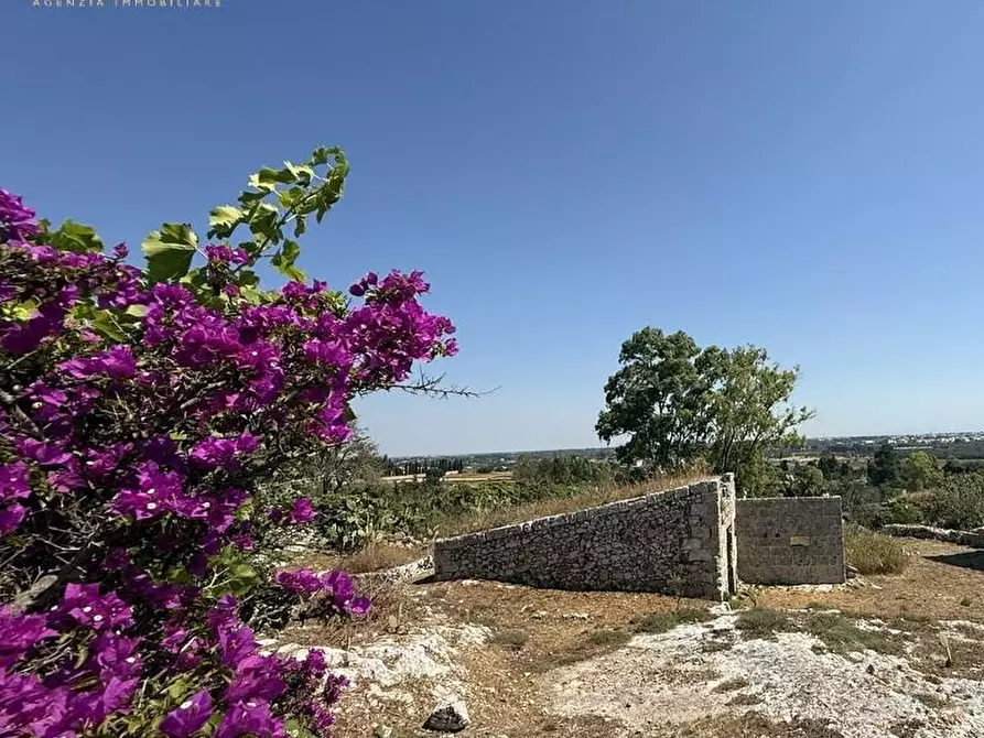 Immagine 14 di Baita in vendita  a Alessano
