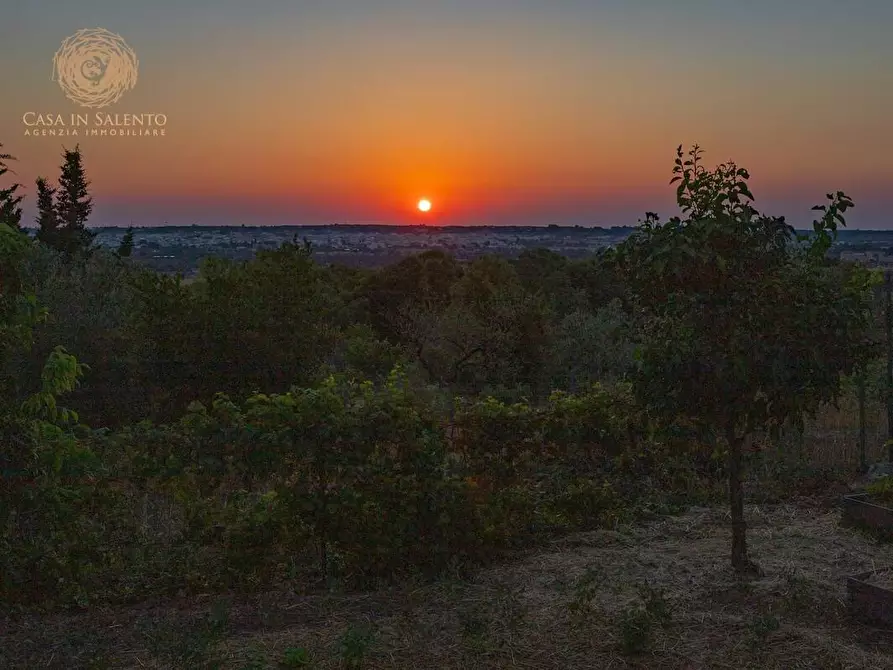 Immagine 42 di Baita in vendita  a Alessano