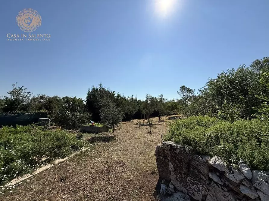 Immagine 6 di Baita in vendita  a Alessano