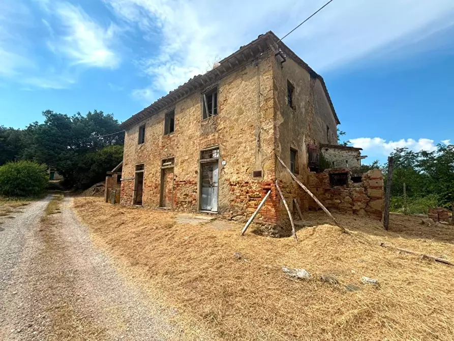 Immagine 1 di Casa indipendente in vendita  a Fauglia