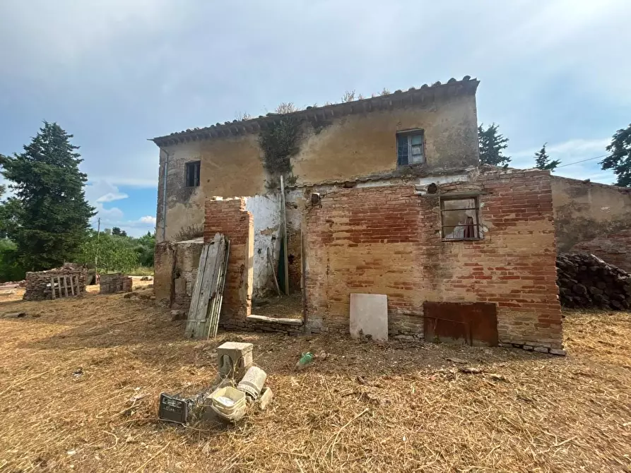 Immagine 2 di Casa indipendente in vendita  a Fauglia