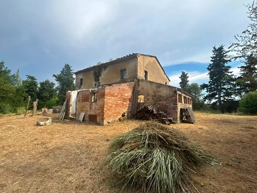 Immagine 5 di Casa indipendente in vendita  a Fauglia