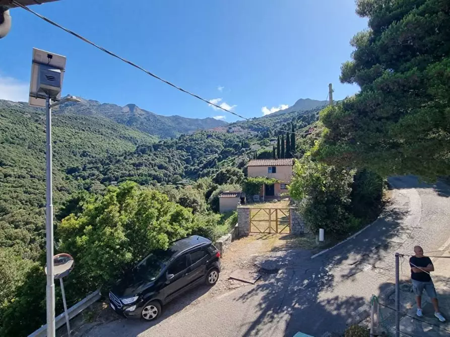 Immagine 3 di Appartamento in vendita  a Marciana