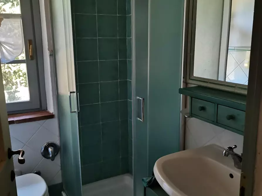 Immagine 10 di Appartamento in vendita  a Casole D'elsa