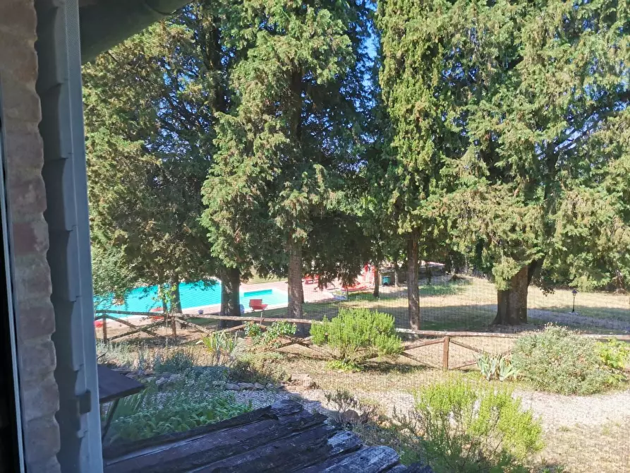 Immagine 12 di Appartamento in vendita  a Casole D'elsa