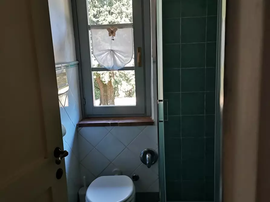 Immagine 11 di Appartamento in vendita  a Casole D'elsa