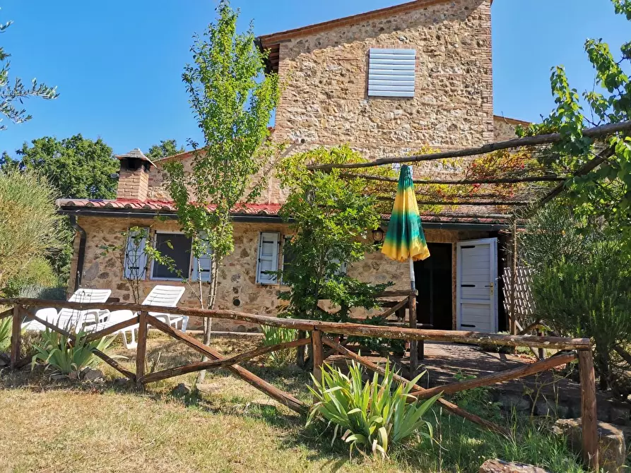 Immagine 38 di Appartamento in vendita  a Casole D'elsa