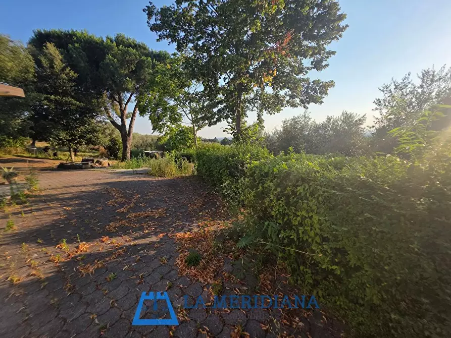 Immagine 16 di Terratetto in vendita  a Larciano