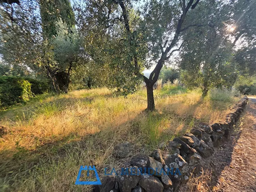 Immagine 13 di Terratetto in vendita  a Larciano