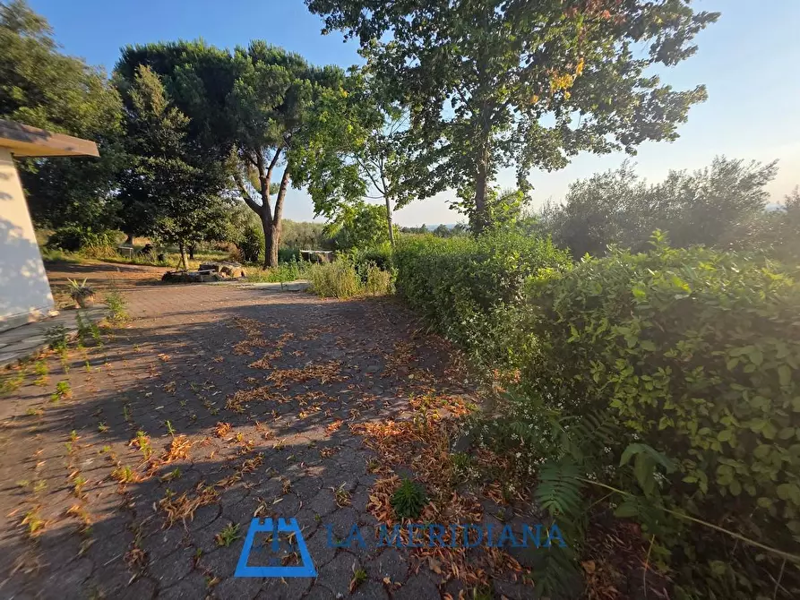 Immagine 18 di Terratetto in vendita  a Larciano
