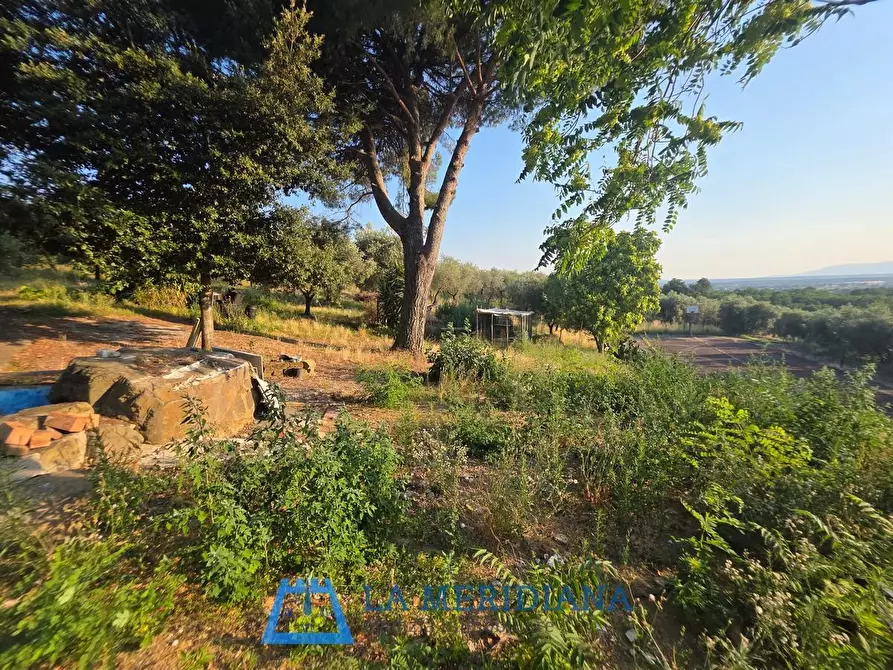 Immagine 21 di Terratetto in vendita  a Larciano