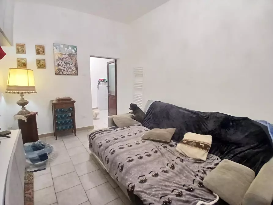 Immagine 5 di Appartamento in vendita  a Livorno