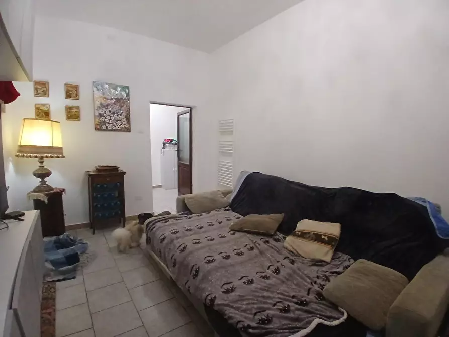 Immagine 10 di Appartamento in vendita  a Livorno