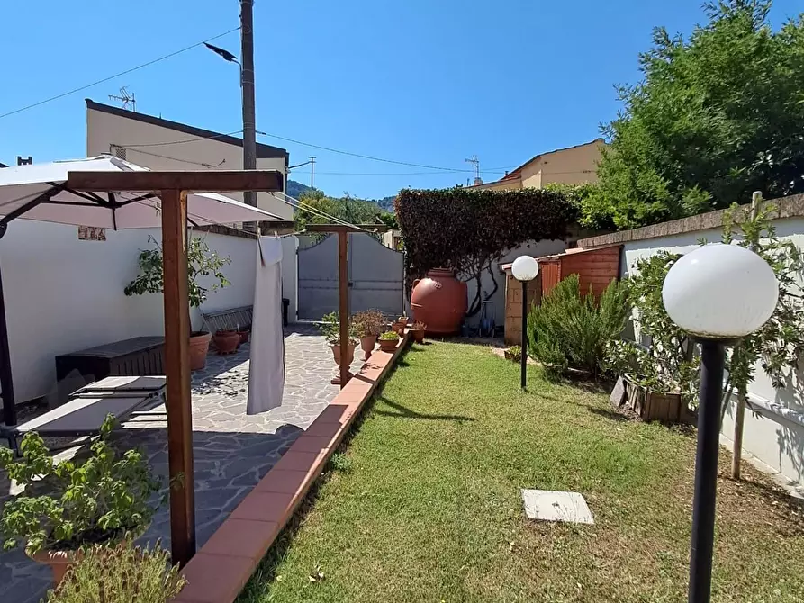 Immagine 3 di Terratetto in vendita  a Livorno