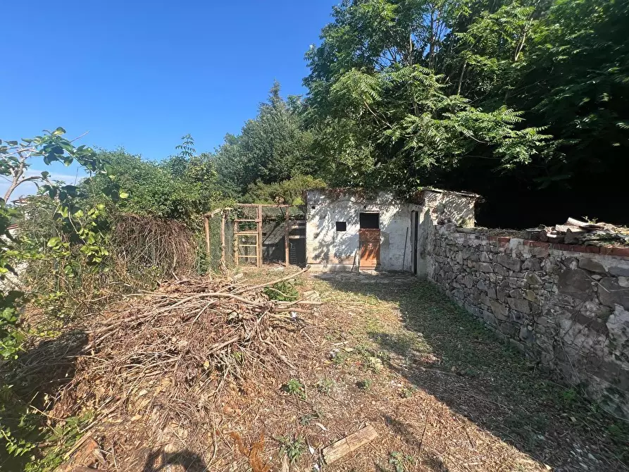 Immagine 46 di Villa in vendita  a Capannori