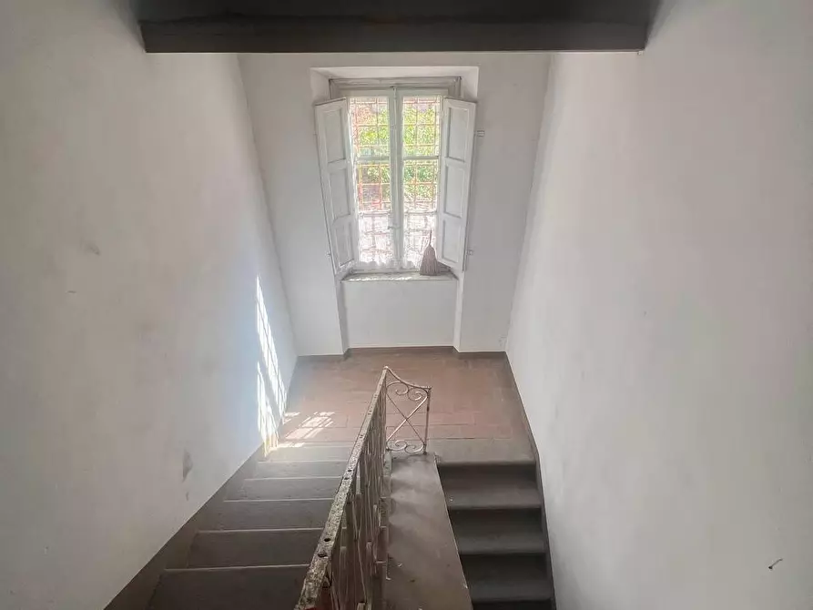 Immagine 15 di Villa in vendita  a Capannori