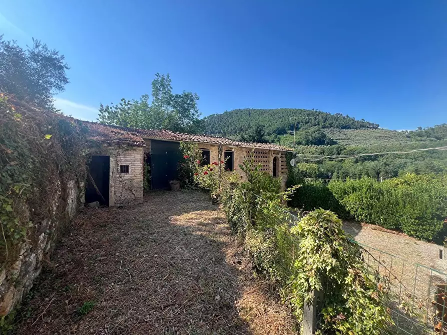 Immagine 51 di Villa in vendita  a Capannori