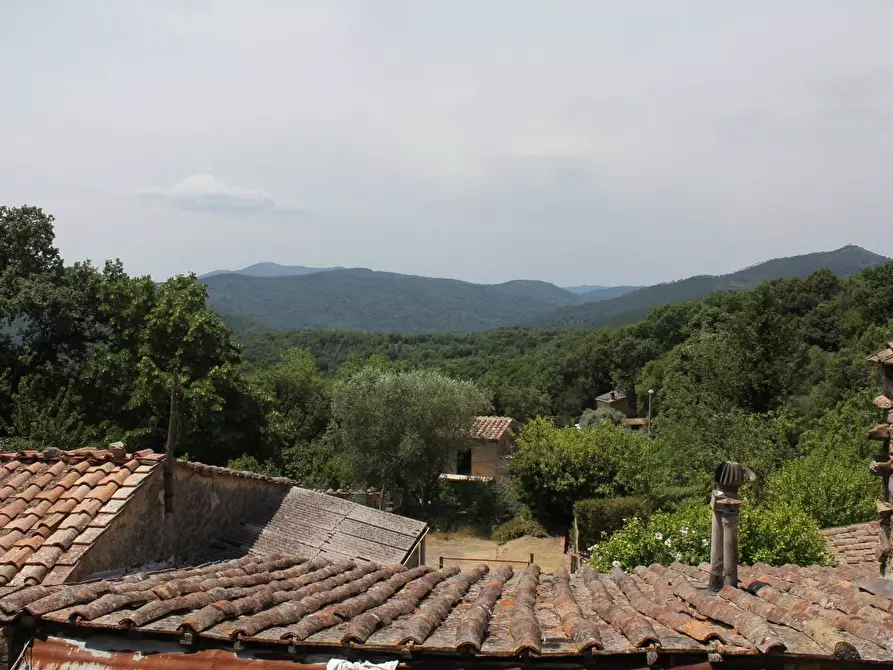 Immagine 7 di Terratetto in vendita  a Monticiano