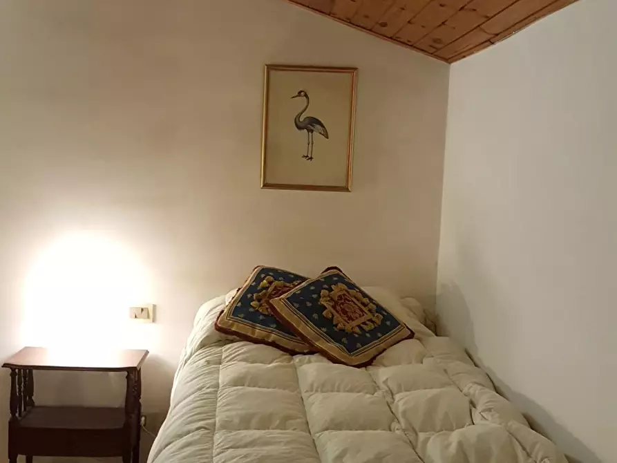 Immagine 10 di Villetta a schiera in affitto  a Pisa