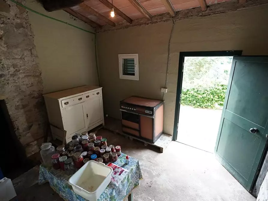 Immagine 31 di Terratetto in vendita  a Capannori