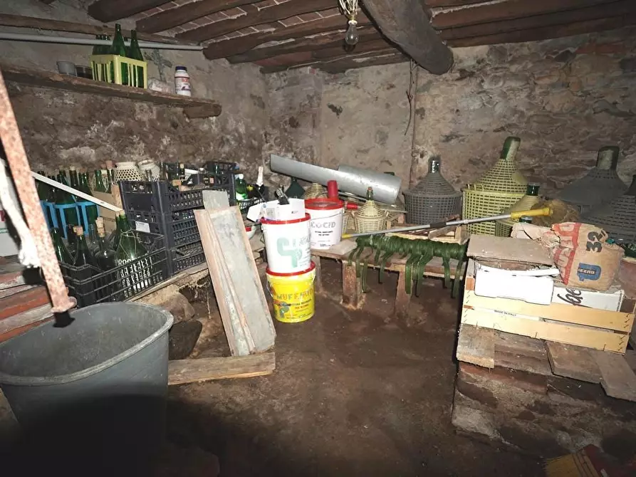 Immagine 33 di Terratetto in vendita  a Capannori