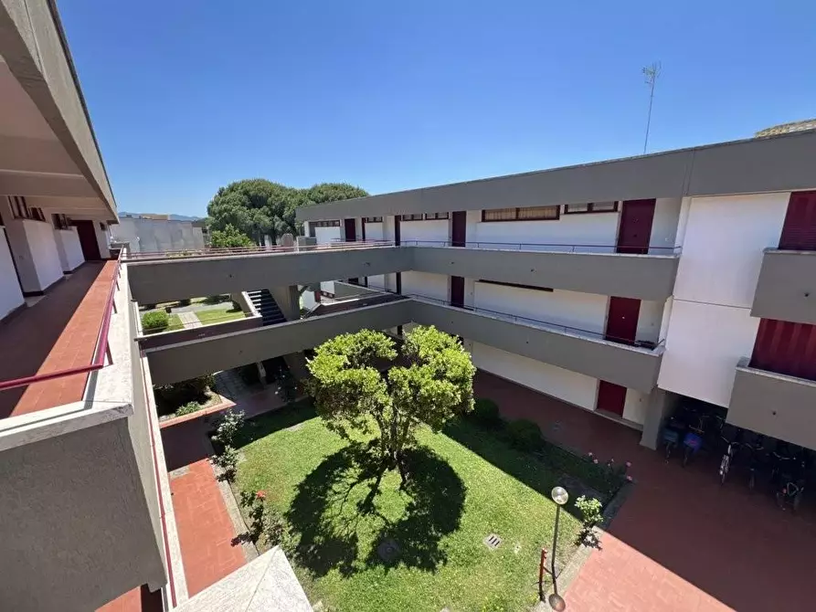Immagine 2 di Appartamento in vendita  a Bibbona