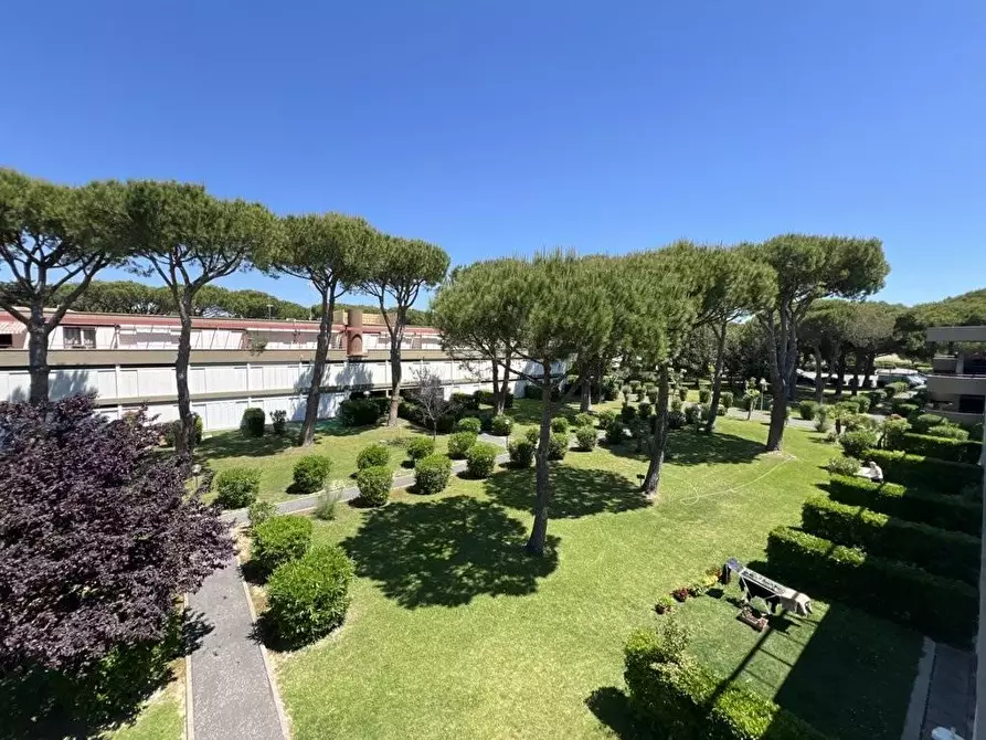 Immagine 15 di Appartamento in vendita  a Bibbona