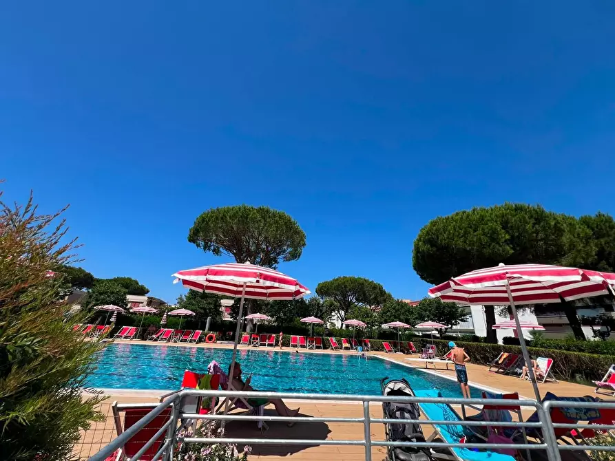 Immagine 18 di Appartamento in vendita  a Bibbona
