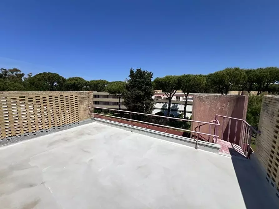 Immagine 14 di Appartamento in vendita  a Bibbona