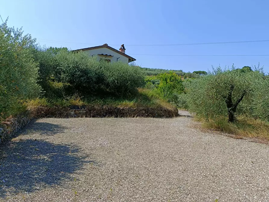 Immagine 21 di Rustico / casale in vendita  a Castelfiorentino