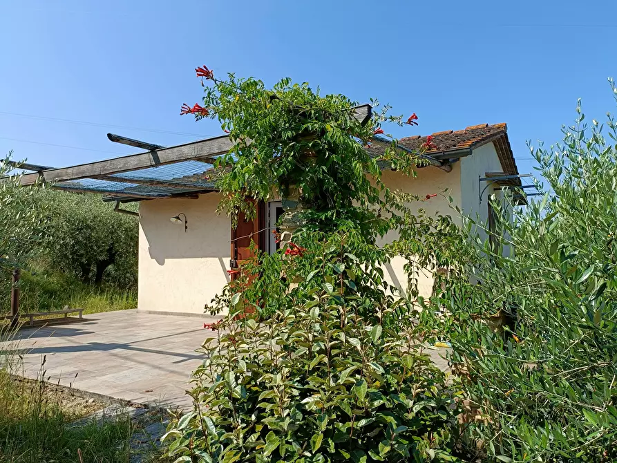 Immagine 7 di Rustico / casale in vendita  a Castelfiorentino