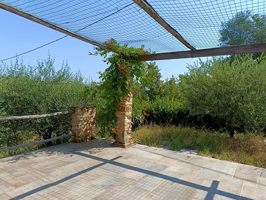 Immagine 9 di Rustico / casale in vendita  a Castelfiorentino