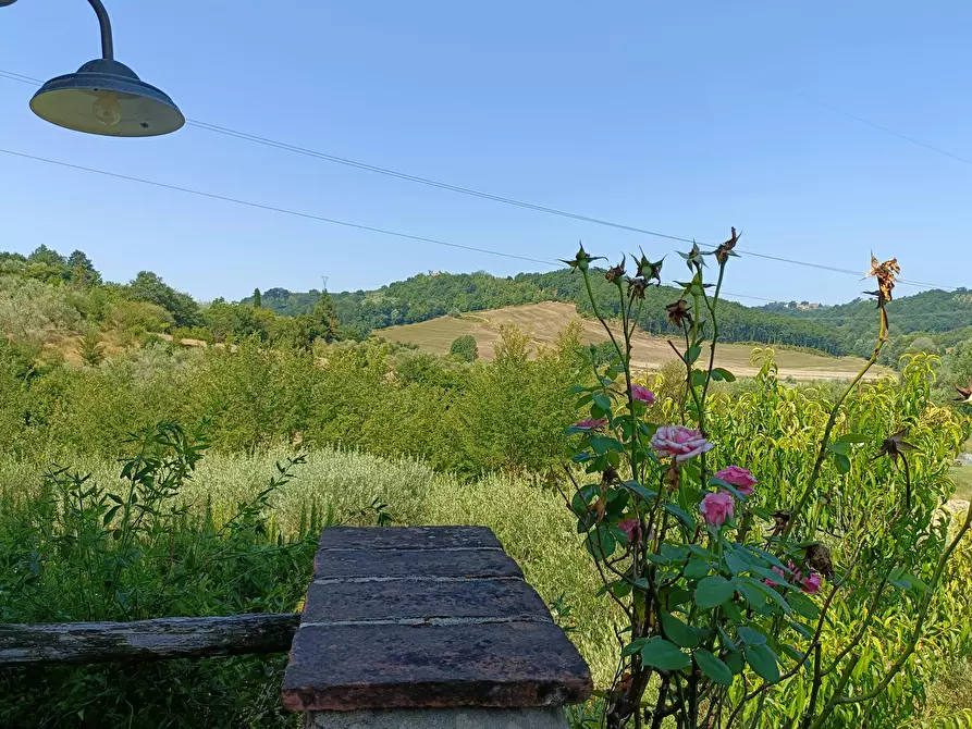 Immagine 17 di Rustico / casale in vendita  a Castelfiorentino