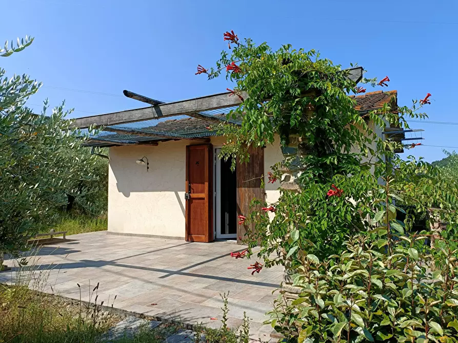 Immagine 3 di Rustico / casale in vendita  a Castelfiorentino