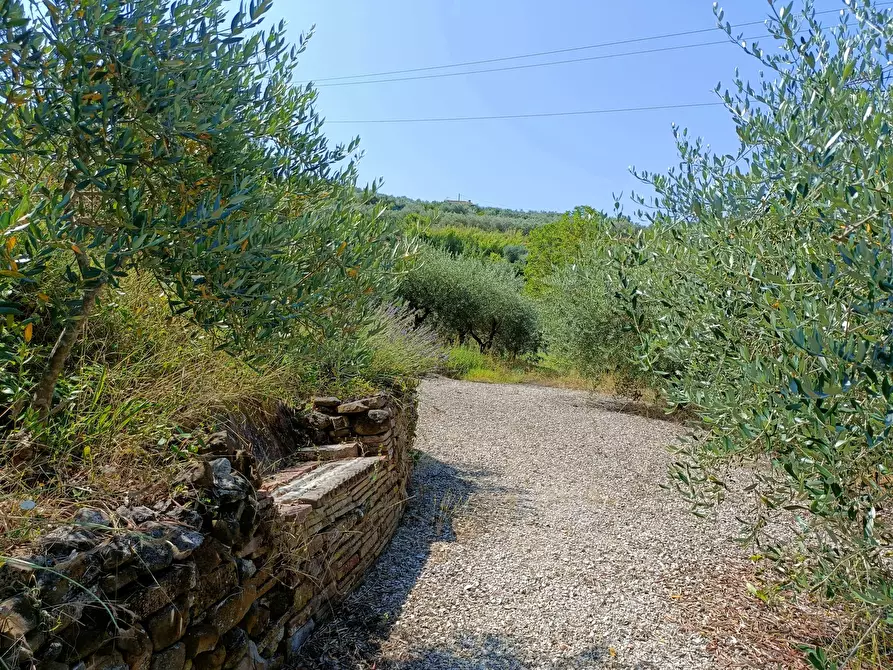 Immagine 20 di Rustico / casale in vendita  a Castelfiorentino