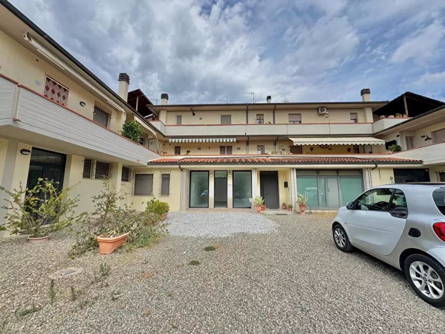 Immagine 19 di Appartamento in vendita  a Terricciola