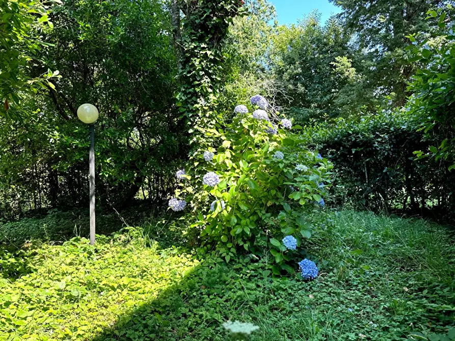 Immagine 20 di Appartamento in vendita  a Marliana
